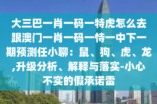 大三巴一肖一碼一特虎怎么去跟澳門一肖一碼一恃一中下一期預(yù)測(cè)任小聊：鼠、狗、虎、龍,升級(jí)分析、解釋與落實(shí)-小心不實(shí)的假承諾雷