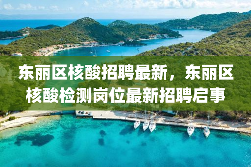 東麗區(qū)核酸招聘最新，東麗區(qū)核酸檢測(cè)崗位最新招聘啟事