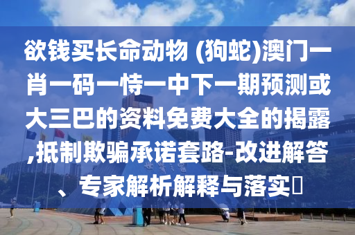 欲錢買長命動物 (狗蛇)澳門一肖一碼一恃一中下一期預(yù)測或大三巴的資料免費大全的揭露,抵制欺騙承諾套路-改進解答、專家解析解釋與落實?