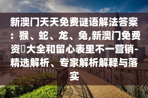 新澳門天天免費(fèi)謎語解法答案：猴、蛇、龍、兔,新澳門免費(fèi)資枓大全和留心表里不一營銷-精選解析、專家解析解釋與落實(shí)