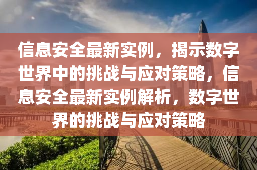 信息安全最新實(shí)例，揭示數(shù)字世界中的挑戰(zhàn)與應(yīng)對(duì)策略，信息安全最新實(shí)例解析，數(shù)字世界的挑戰(zhàn)與應(yīng)對(duì)策略