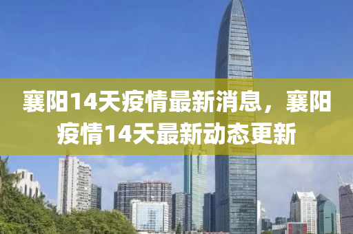 襄陽14天疫情最新消息，襄陽疫情14天最新動態(tài)更新