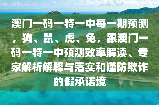 澳門一碼一特一中每一期預(yù)測(cè)，狗、鼠、虎、兔，跟澳門一碼一特一中預(yù)測(cè)效率解讀、專家解析解釋與落實(shí)和謹(jǐn)防欺詐的假承諾境