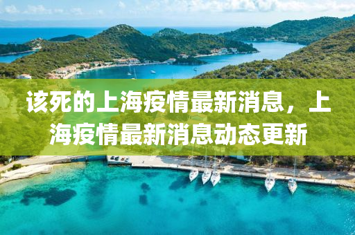 該死的上海疫情最新消息，上海疫情最新消息動(dòng)態(tài)更新