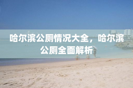 哈爾濱公廁情況大全，哈爾濱公廁全面解析