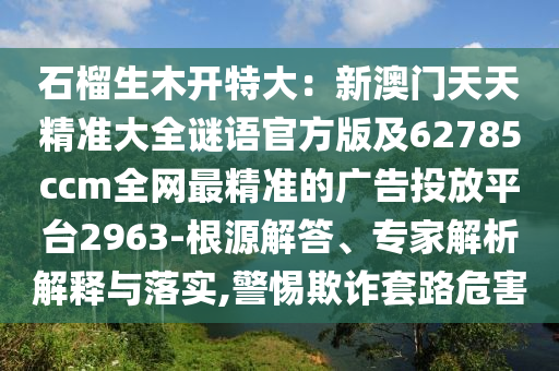 石榴生木開特大：新澳門天天精準大全謎語官方版及62785ccm全網(wǎng)最精準的廣告投放平臺2963-根源解答、專家解析解釋與落實,警惕欺詐套路危害