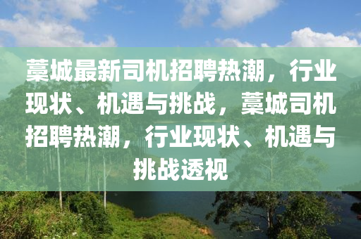 藁城最新司機(jī)招聘熱潮，行業(yè)現(xiàn)狀、機(jī)遇與挑戰(zhàn)，藁城司機(jī)招聘熱潮，行業(yè)現(xiàn)狀、機(jī)遇與挑戰(zhàn)透視